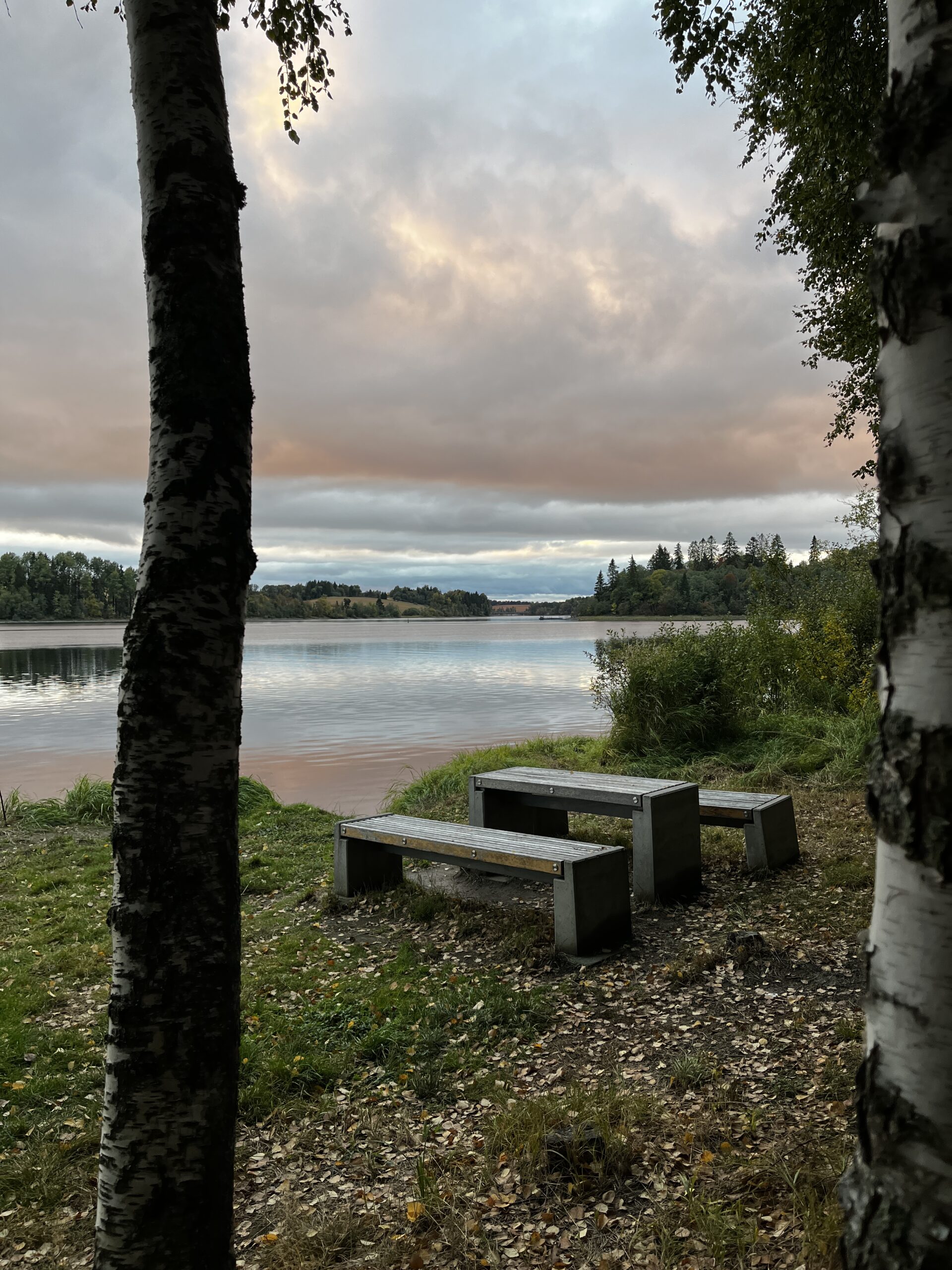 En av hvileplassene langs elvestien, med utsikt til elvemøtet og Nes Kirkeruiner. Foto: Tone K. B. Brustad